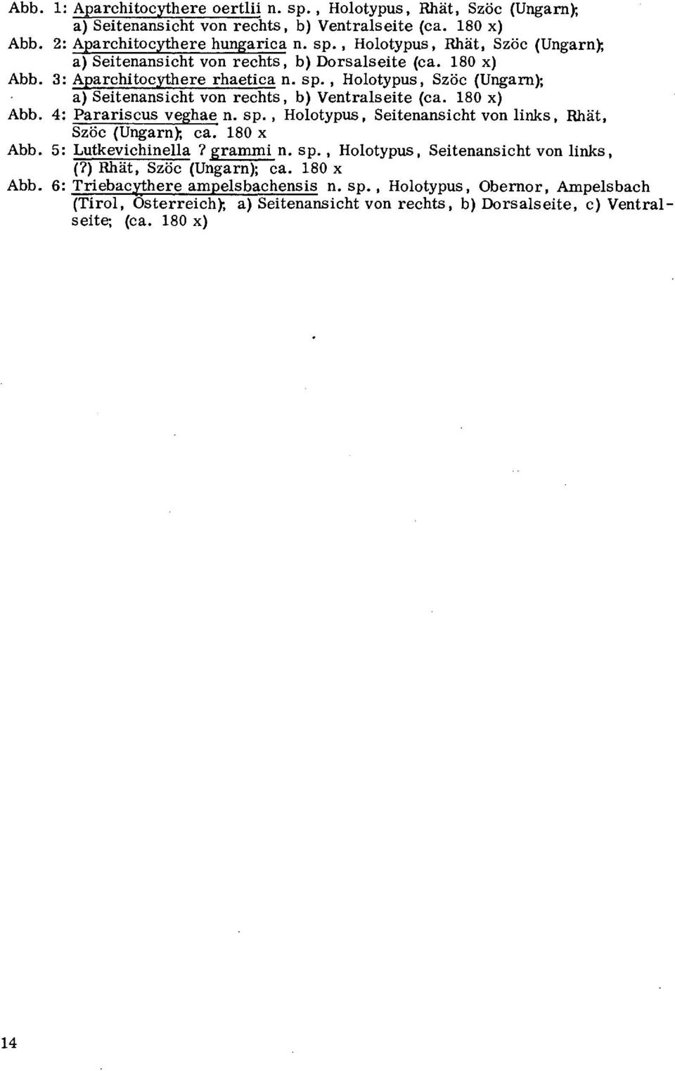 180 x Abb. 5: Lutkevichinella? grammi n. sp., Holotypus, Seitenansicht von links, (?) Rhät, Szöc (Ungarn); ca. 180 x Abb. 6: Triebacythere ampelsbachensis n. sp., Holotypus, Obernor, Ampelsbach (Tirol, Osterreich); a) Seitenansicht von rechts, b) Dorsalseite, c) Ventralseite; (ca.