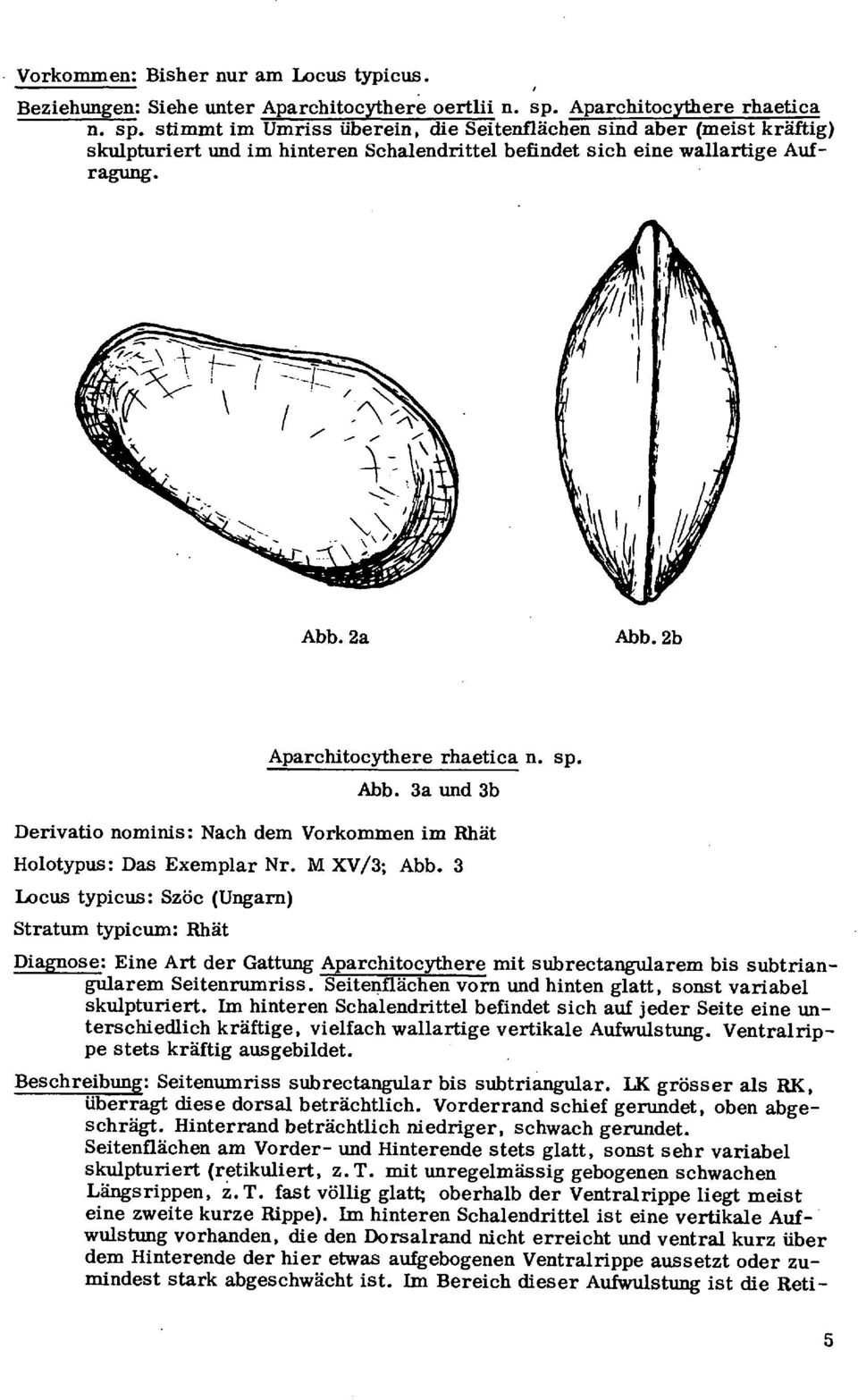 2b Aparchitocythere rhaetica n. sp. Abb. 3a und 3b Derivatio nominis: Nach dem Vorkommen im Rhät Holotypus: Das Exemplar Nr. M XV/3; Abb.