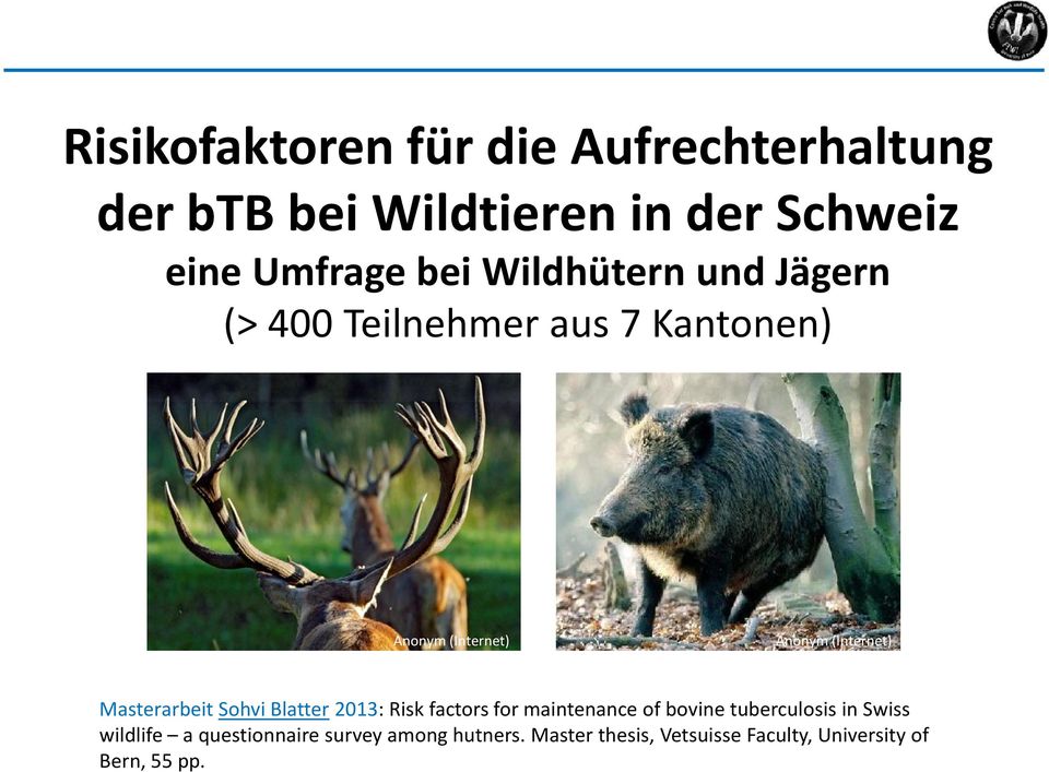 Masterarbeit SohviBlatter2013: Riskfactorsformaintenanceofbovine tuberculosisin Swiss wildlife