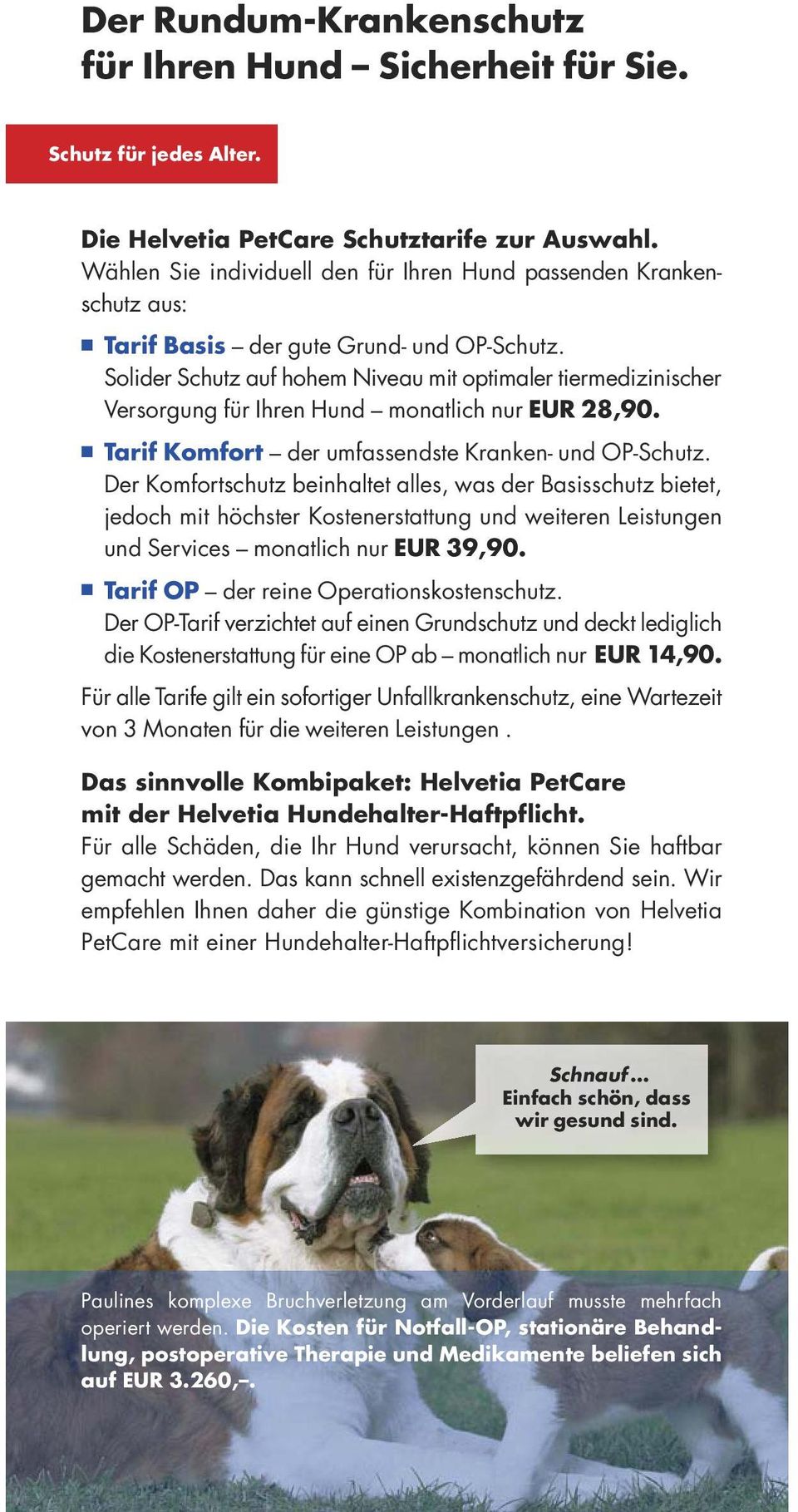 Solider Schutz auf hohem Niveau mit optimaler tiermedizinischer Versorgung für Ihren Hund monatlich nur EUR 28,90. Tarif Komfort der umfassendste Kranken- und OP-Schutz.