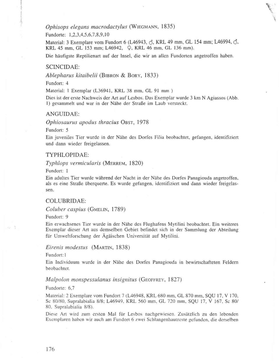 SCINCIDAE: Ablepharus kitoibelii (BtBRoN& BoRy, 1833) Fundoit:4 Material: I Exemplar (L36941, KRL 38 mm, CL 9l mm ) Dies ist der erste Nachweis der Aft auflesbos.