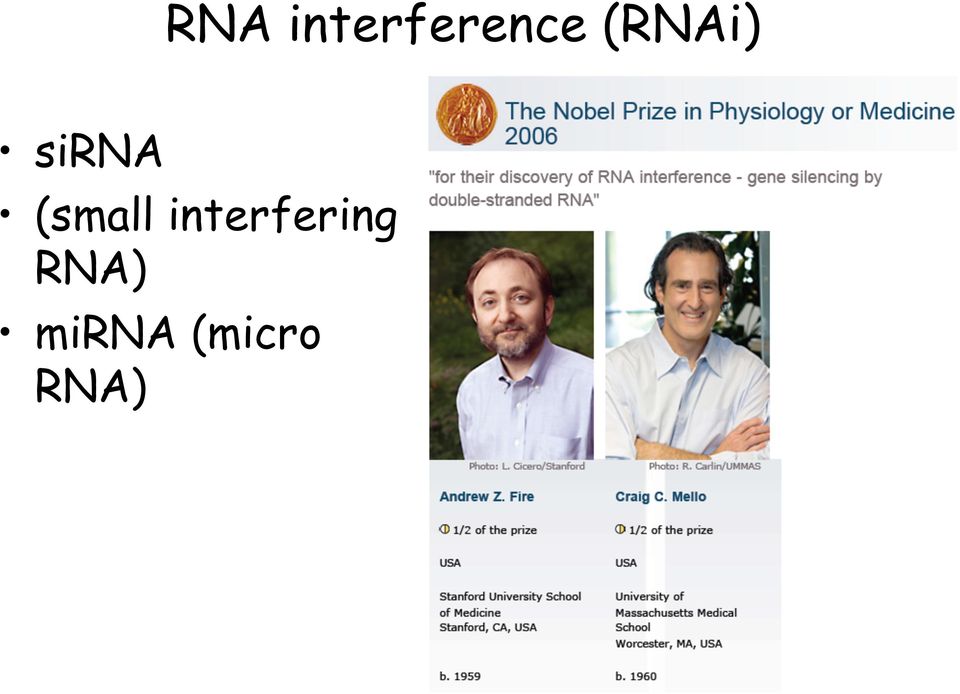 RNA) mirna (micro RNA)