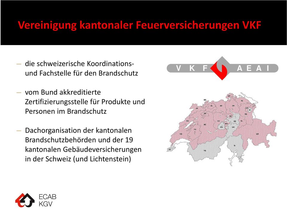 Personen im Brandschutz Dachorganisation der kantonalen