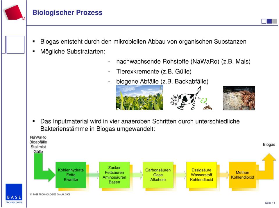 b. Gülle) - biogene Abfälle (z.b. Backabfälle) Das Inputmaterial wird in vier anaeroben
