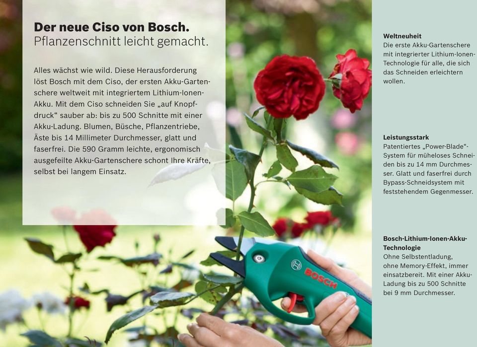 Mit dem Ciso schneiden Sie auf Knopfdruck sauber ab: bis zu 500 Schnitte mit einer Akku-Ladung. Blumen, Büsche, Pflanzentriebe, Äste bis 14 Millimeter Durchmesser, glatt und faserfrei.