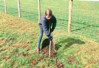 Entwurmungsempfehlung Entwurmung im Frühjahr vor Weideaustrieb - beugt einer massiven Weidekontamination vor - nach Verabreichen z.b. von Fenbendazol: 1 Tag warten, dann erst Weidegang - nach Verabreichen von anderer Wirkststoffe: ca.