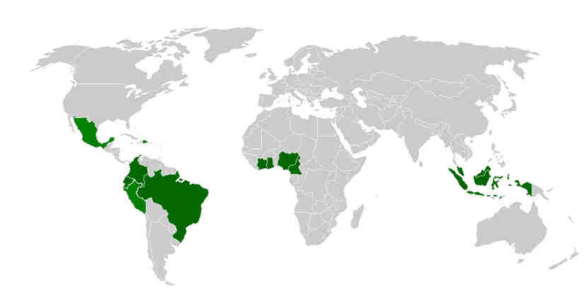 Kakao-Hauptproduzenten 2014 Gesamtproduktion 5 Mio. Tonnen Indonesien 425.000 t Papua-Neuguinea 40.000 t Brasilien 210.000 t Ecuador 200.000 t Peru 75.