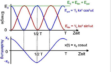 Schwingungen treten ier auf, wenn Kraft in Gleichgewichtslage zurück treibt Haronischer Oszillator Federkraft F -Dx (i Lernbrief D statt k) Beschleunig.