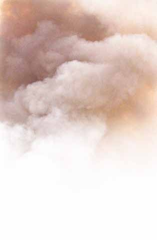 5 Editorial smoke release Burning Behaviour and Formation of Smoke PVC HFT -ien von Dietzel Univolt haben eine 25-jährige Entwicklung hinter sich, die von ersten halogenfreien Produkten zum heutigen