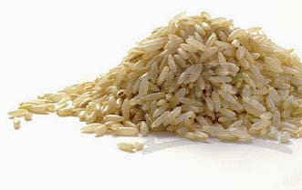 Bausteine der Hundeernährung. Wasser Kohlenhydrate Kohlenhydrate liefern dem Körper schnell verfügbare Energie. Sie sind vor allem in Reis und Getreide vorhanden.