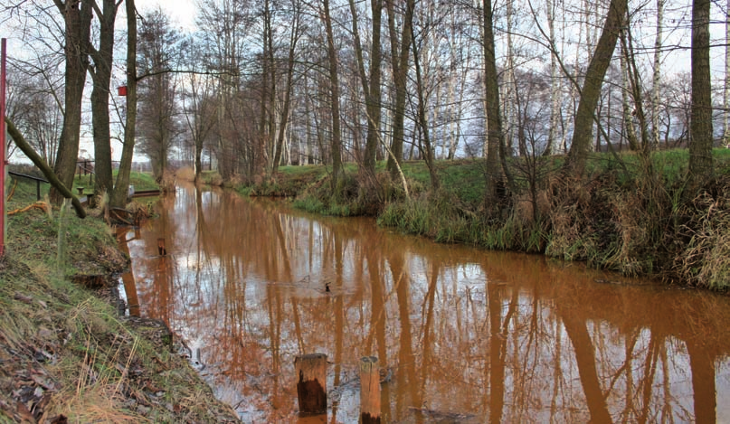 Schleichende Gefahr für den Spreewald Im Grundwasser der Tagebaukippe Cottbus- Nord herrschen nach Vattenfall-Angaben Konzentrationen von bis zu 700 Milligramm Eisen pro Liter (ab 2 Milligramm färben