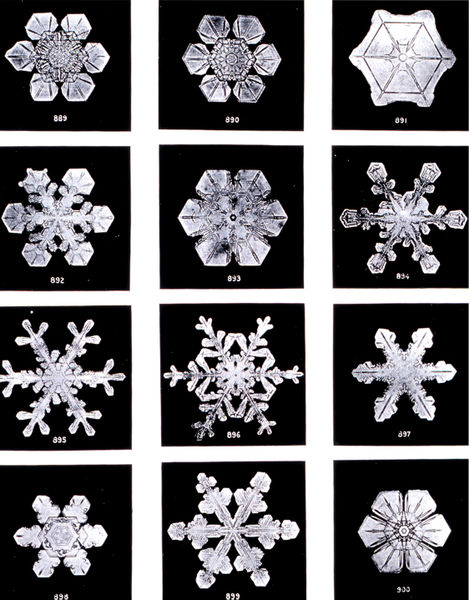 Kathrin Thaler 5 Aufgabe 3: Wieso ist der Schnee weiß? Erkläre deine Behauptung. Auf dem Bild seht ihr, wenn man eine Schneeflocke im Dunklen fotografiert ist sie durchsichtig, wie Eis.