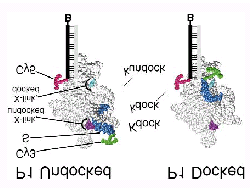 Single pair (spfret): Ribozyme Faltungskinetik R 0 RNA-Sekundärstruktur (ca.