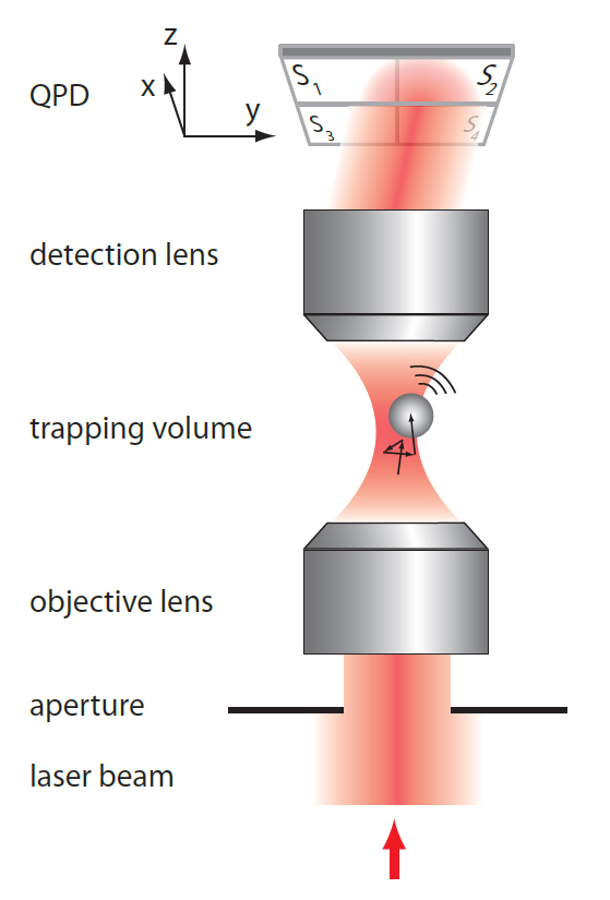 Kalibrierung einer optischen Pinzette mit Interferometrie Datenaufnahmerate mit Photodioden (QPD) > 1 MHz möglich Problem: