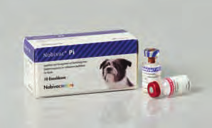 Nobivac Pi Lyophilisat und Lösungsmittel zur Herstellung einer Injektionssuspension nach Resuspendierung in Nobivac Solvens, für Hunde Parainfluenza-Lebendimpfstoff, gefriergetrocknet Zusammensetzung