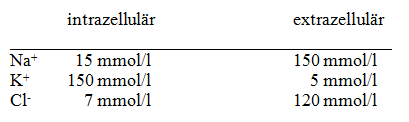 4. Eine Zelle hat ein Membranpotenzial von -60 mv und die intra- und extrazellulären Ionenkonzentrationen sind wie folgt: Welche Aussage zu den Triebkräften für Na + - und K + - und Cl - -Ionen ist