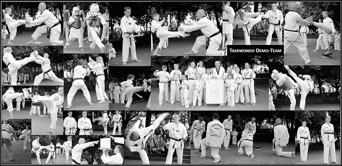 Taekwondo Demo-Team im Bertha-von-Suttner-Gymnasium Am 25.