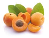 Umeboshi Es wird aus einer Marillenart, die in Japan wächst sie heißt Prunus mume oder Japanische Aprikose hergestellt.