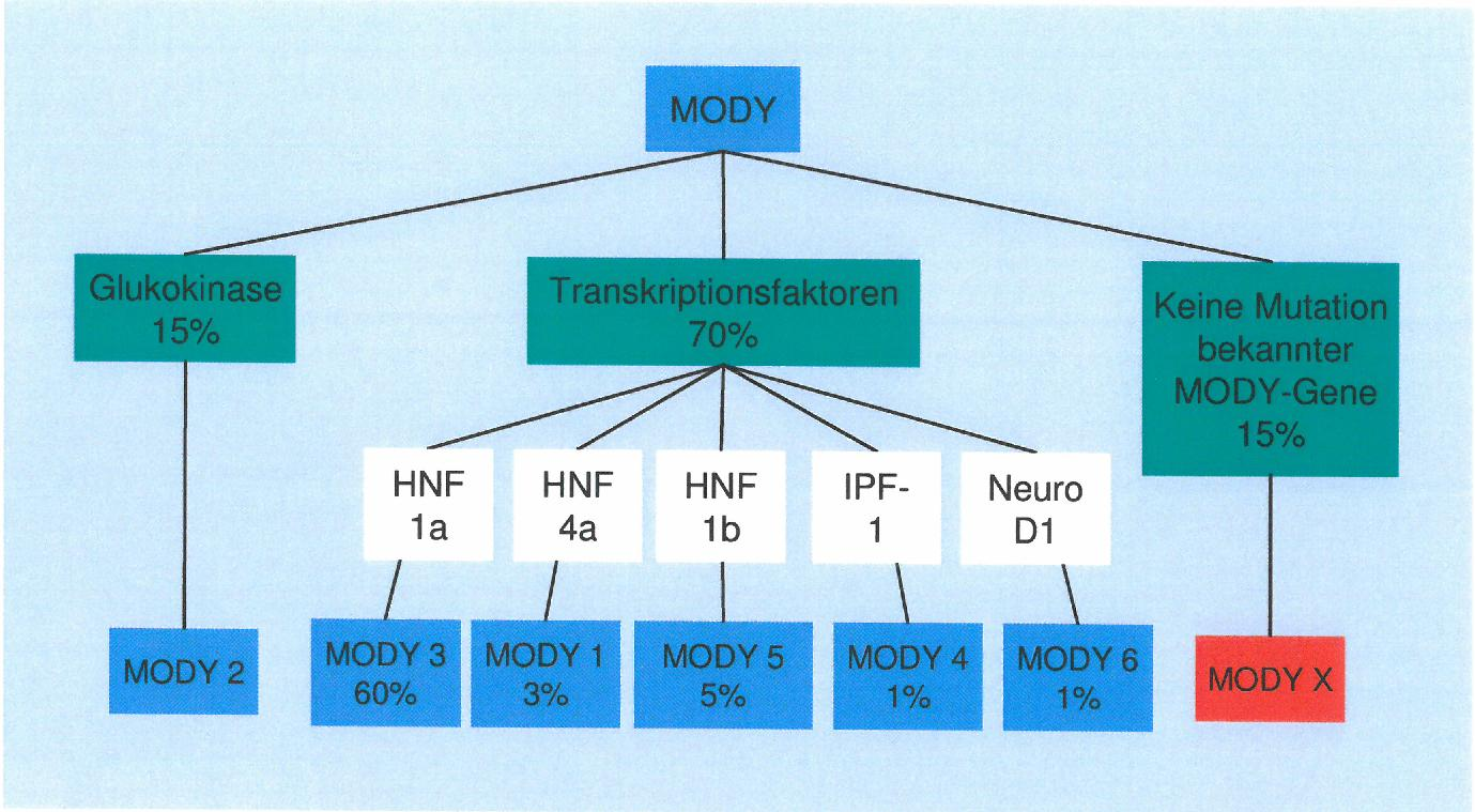 Mix (klassisch + NGS) - 6 Haupttypen + 6 weitere (MODY1 - MODY12) a) Stufendiagnostik