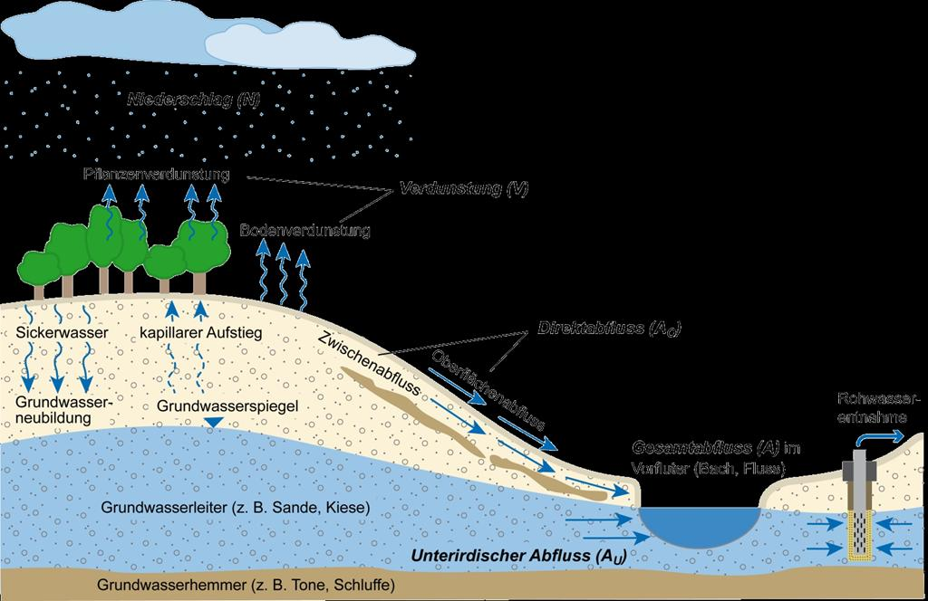 Wasserkreislauf / Bilanzkomponenten Interpolierter Antrieb ( 1d) Berechnungsgrößen (1d)