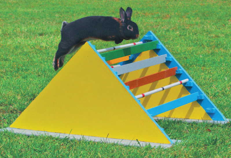 8 I Gestatten Zwergkaninchen Fazinierende Fähigkeiten Kaninchen wurden von der Natur bestens ausgestattet, um sich ihrem Lebensraum anzupassen. Auch unsere Heimtiere besitzen noch diese Fähigkeiten.