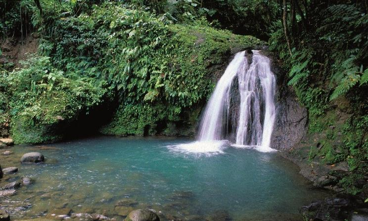 2. 5. Tag Guadeloupe Basse Terre Zeit für Ihre individuellen Aktivitäten In Form eines Schmetterlings ziehen sich die Inseln Basse- Terre und Grande-Terre durch das karibische Meer.