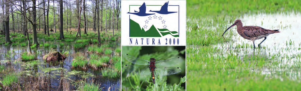 Die europarechtlichen Anforderungen des ökologischen Netzes Natura 2000 sind eine der übergeordneten Rahmenbedingungen für das Moormanagement in Niedersachsen.