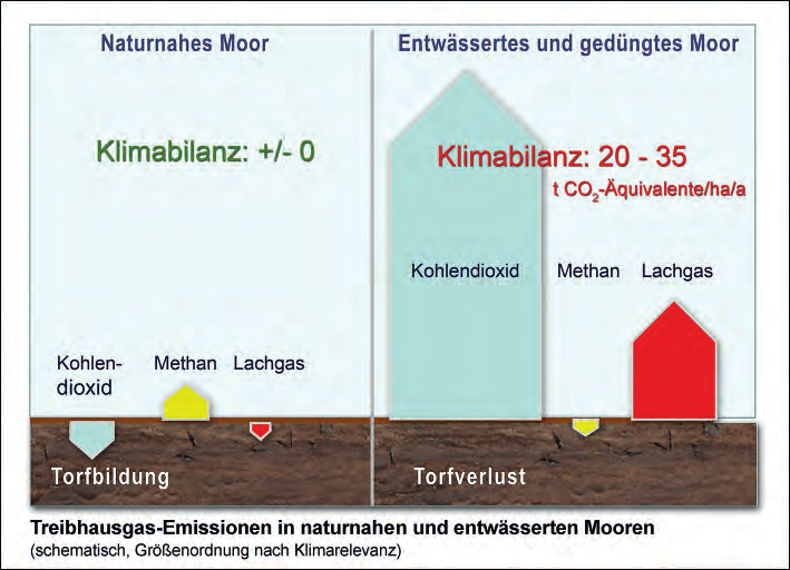 Abb. 2: Treibhausgas-Emissionen in Mooren Erhaltung und Wiederherstellung eines naturnahen Zustands dieser Böden und ihrer Funktionen sind somit wichtige Bestandteile des Klimaschutzes.