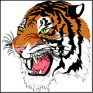 Folie 3 Bitmaps und Vektorgrafiken Tiger