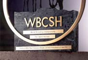 World Breeding Federation for Sport Horses (WBFSH) Salinero Air Jordan Satchmo Shutterfly Siegreicher Verband Dressur