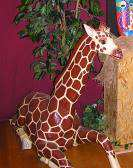 Pos.2.9 Vollplastische Figur Giraffe Format ca. 400cm Höhe Pos.2.10 Vollplastische Figur Giraffe Format ca. 380cm Höhe Material: Pappmache mit gehärteter Außenhaut Vorhanden: 2 