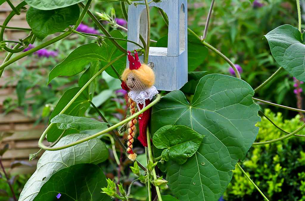 Haaaalt, mir wird schwindelig! Ich kann den ganzen Garten von hier oben sehen!