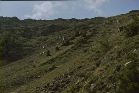 Pfannhorn/Toblach bis 2700 m ü. M.