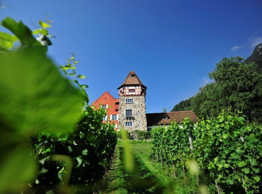 Sehenswürdigkeiten Hauptort Vaduz: Schloss Vaduz, Fürstliche Hofkellerei, Museen, Schatzkammer, City Train Tour, Mittel- und