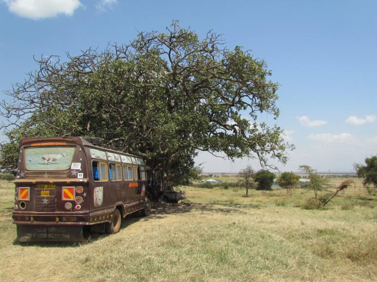 Den ganzen Tag fuhren wir durch den Westen Kenias, durch eine abwechslungsreiche Landschaft und über die Hochebene von Kericho mit riesigen Teeplantagen, die allerdings häufig in englischem Besitz