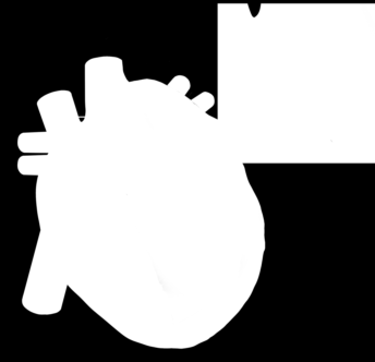 Schweizerische Herzstiftung Aktiv gegen Herzkrankheiten und Hirnschlag