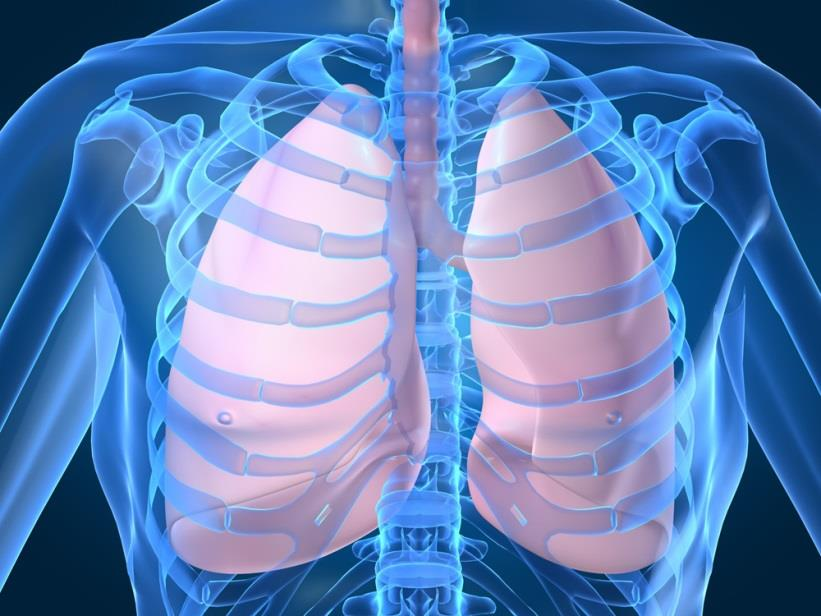 Die rechte Herzhälfte Die rechte Herzhälfte pumpt Blut in die Lunge: Lungenkreislauf In der Lunge kriegt