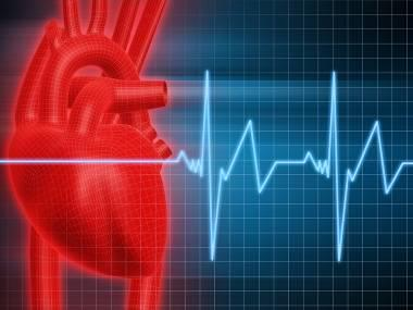 Die Aufgaben des Herzens Das Herz pumpt Blut durch unseren Körper Dieser Pumpvorgang ist wichtig, da unser Herz folgende Aufgaben übernimmt:
