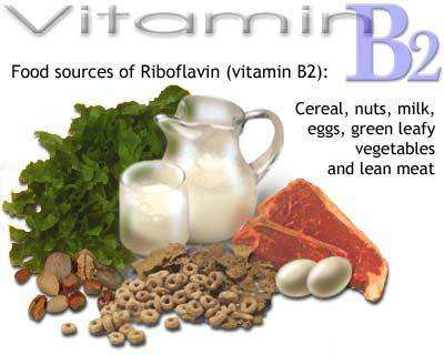 Sicherheit von Riboflavin Riboflavin und die Photoprodukte kommen natürlich vor.