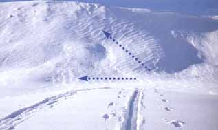 Windgangeln Wetter und Lawinen Wind Verfrachtung von Lockerschnee Windrichtung ab 4 m/s - 5 m/s Entstehung von Windharsch Entstehung von Wächten