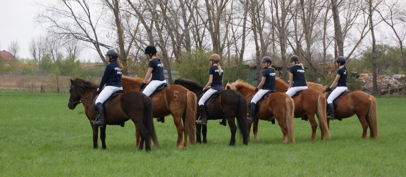 Die traditionelle Töltquadrille