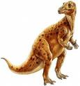 Dinosaurier Info-Kartei Iguanodon Übersetzt: Leguan-Zahn Größe: 6 10 Meter lang Gewicht: 4,5-5,5 Tonnen (4500 5500 kg) Lebenszeit: vor 135