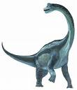 Brachiosaurus Übersetzt: Arm-Echse Größe: 22-30 Meter lang Gewicht: 80 Tonnen (80.