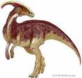 Parasaurolophus Übersetzt: fast ein Saurolophus Größe: 10 Meter lang Gewicht: 2 Tonnen (2000 kg) Lebenszeit: vor 76 65 Millionen Jahren im Funde: 1922 zum ersten Mal beschrieben - Apatosaurus