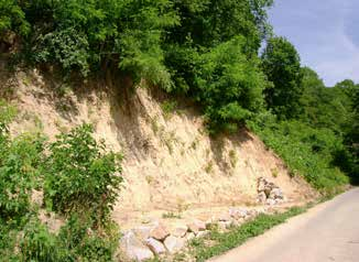 Landschaft, Naturraum, Geologie 15 nur deshalb möglich, weil durch die gleichzeitig erfolgende Einsenkung des Oberrheingrabens seiner Erosionsbasis stets ein genügend großes Gefälle