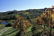 Acqui Terme - Piemont Die Stadt liegt in den sanften grünen Hügeln des Alto Monferrato in Piemont im Nordosten Italiens und wurde von den Römern gegründet.