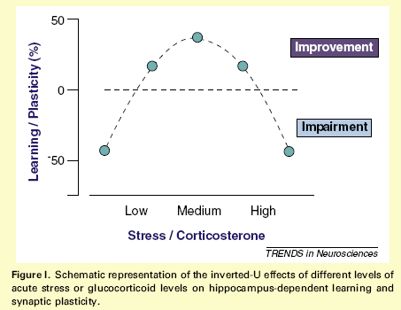 STRESS/HERAUSFORDERUNG UND LERNERFOLG