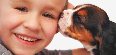 Er würde seinen besten Freund niemals für Tierversuche hergeben! Wie du den Tieren helfen kannst Informiere dich über Tierversuche und die Wünsche und Bedürfnisse von Tieren.