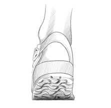 i die richtige passform Schuhe nehmen Einfluss auf unseren Bewegungsablauf. Deshalb ist es wichtig, dass sie richtig sitzen sowohl im Stehen informationen als auch beim Gehen.