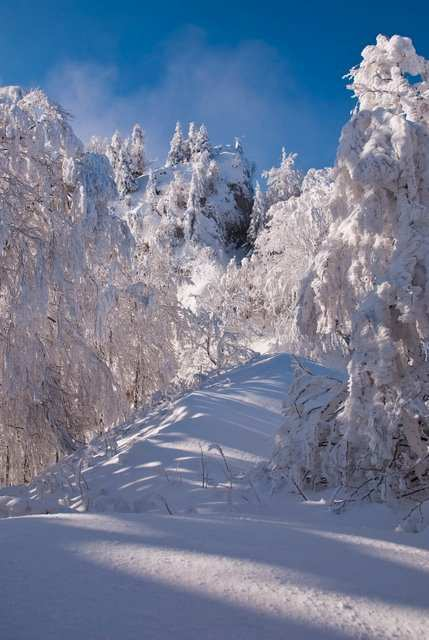 Die alte Straße hinauf zum Loiblpaß wird auf der slowenischen Seite im Winter als Rodelbahn präpariert.